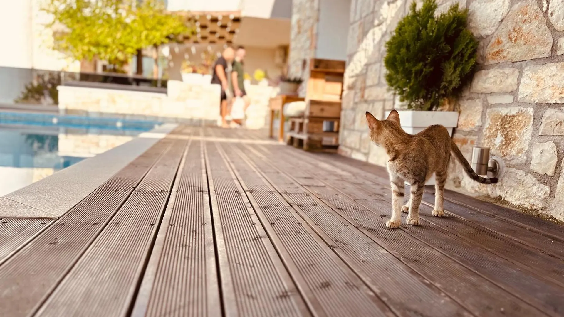 Apartamento Villa Merkuri Himarë Albania